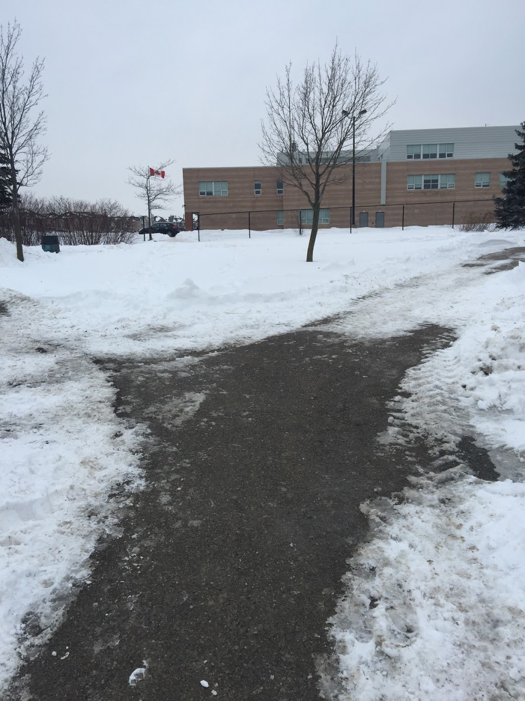 Harold M. Brathwaite Secondary School | 415 Great Lakes Dr, Brampton, ON L6R 2Z4, Canada | Phone: (905) 793-2155