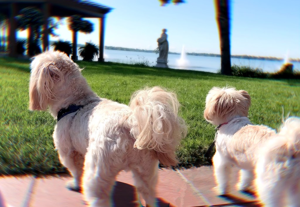 Bark Avenue Spaw | 6 Flowertown Ave, Brampton, ON L6X 2J9, Canada | Phone: (905) 495-6655