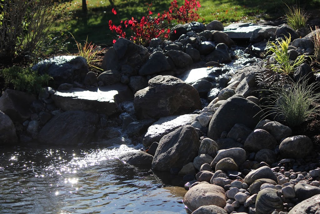 Rock Water Plant inc. | 472 Beaumont Cres, Breslau, ON N0B 1M0, Canada | Phone: (519) 781-3441