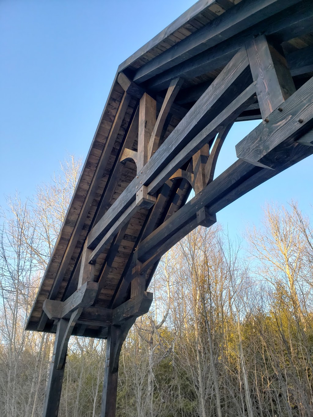 Wolf Lake Timber Works Inc. | Kawartha Lakes, ON K0M 2B0, Canada | Phone: (705) 341-8578