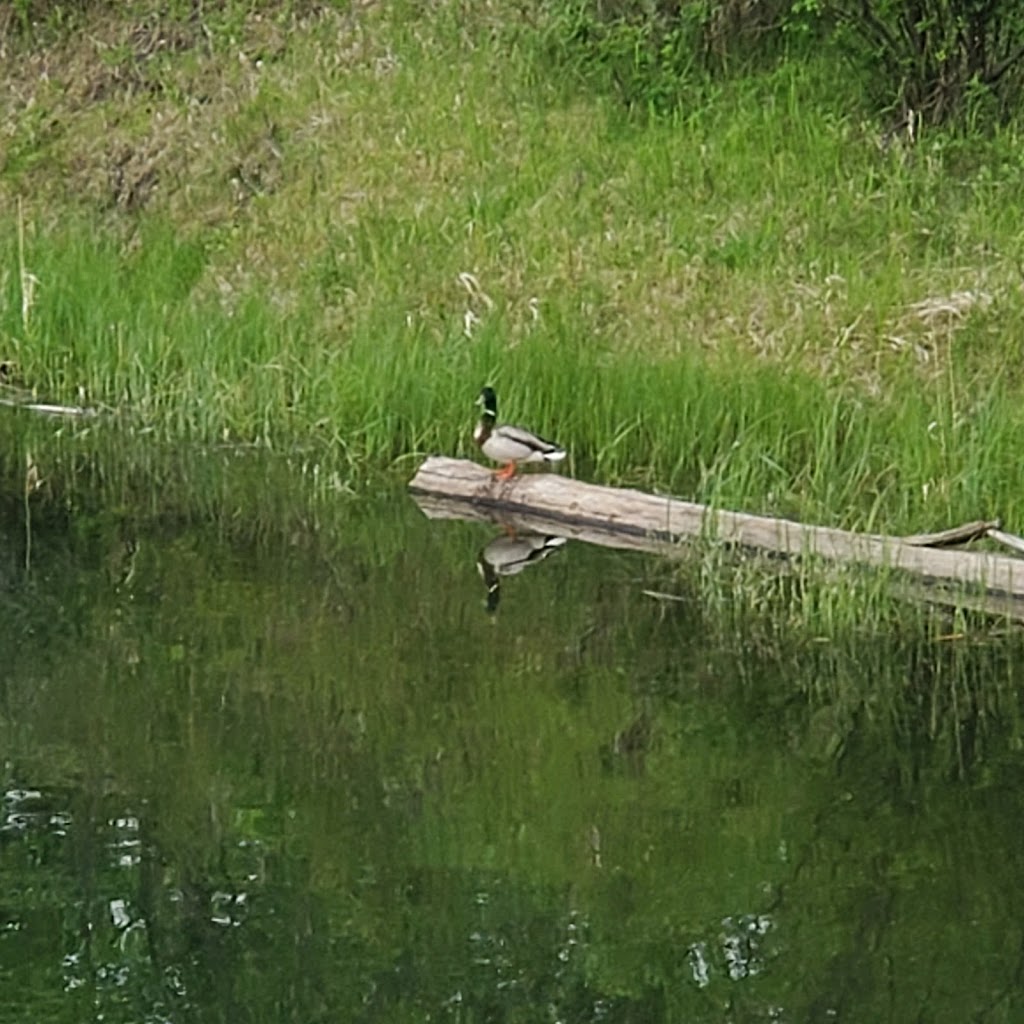 McKenzie Trails Park. | Red Deer, AB T4N 3M4, Canada | Phone: (403) 443-8721