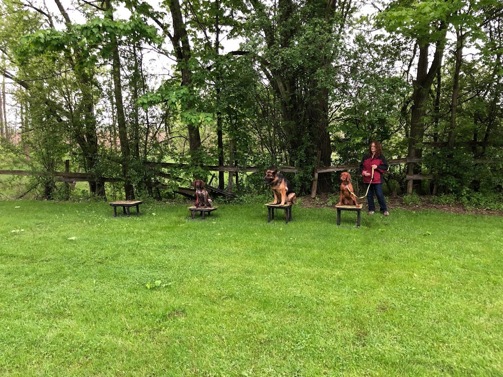 GoodHeart Dog Training Centre | 1469 Sawmill Rd, Ancaster, ON L9G 3L1, Canada | Phone: (905) 304-4284