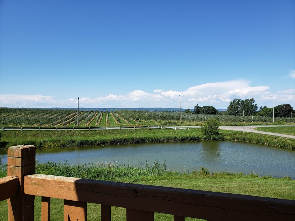 Fox Hill Cheese House | 1678 Church St, Port Williams, NS B0P 1T0, Canada | Phone: (902) 542-3599