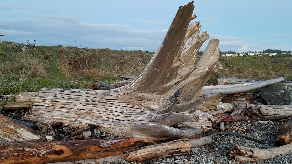 Cabana Park | 5919 Cabana Ln, Anacortes, WA 98221, USA
