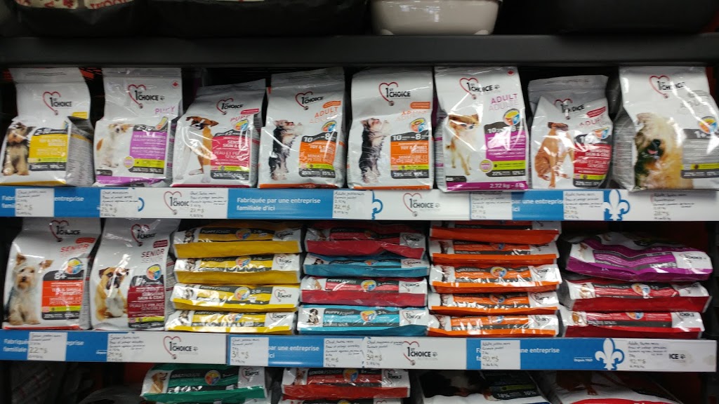 Animalerie Quatre Pattes & Cie | 922 Boulevard Maloney E, Gatineau, QC J8P 1H5, Canada | Phone: (819) 669-1115