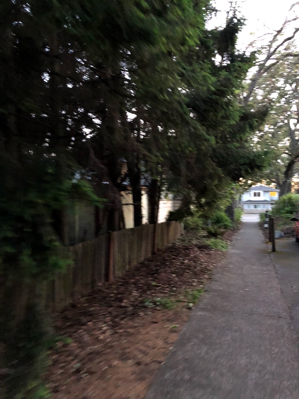 Emerson’s Way | 1706 Emerson St, Victoria, BC V8R 2C3, Canada
