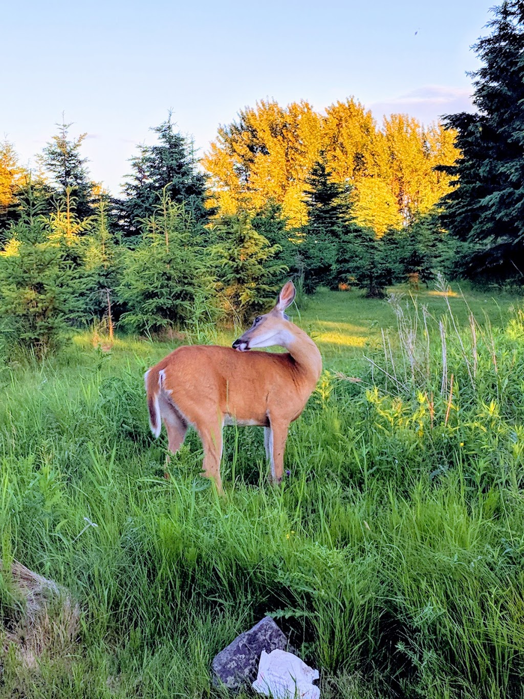 Mission Marsh Conservation Area - Parking Lot | 106th St, Thunder Bay, ON P7E, Canada | Phone: (807) 344-5857