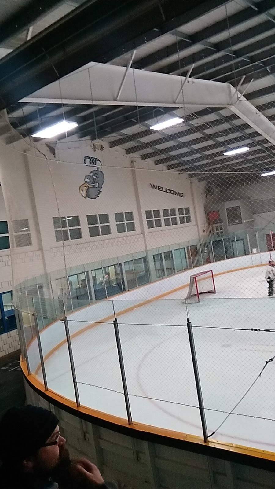 St Adolphe Skating Rink | 345 Hebert Rd, Saint Adolphe, MB R5A 1A1, Canada | Phone: (204) 883-2059