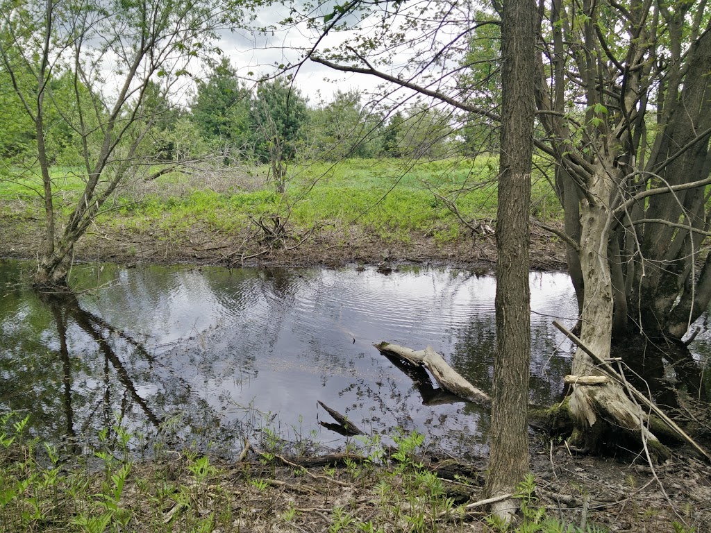 Domaine Taschereau-Parc Nature | Accès aux sentiers:, 750 Rue Notre Dame N, Sainte-Marie, QC G6E 2K9, Canada | Phone: (418) 386-1270