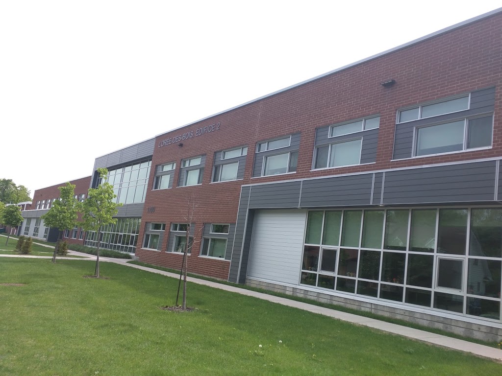 LOrée Des Bois School | 4185 Rue Séguin, Laval, QC H7R 2V2, Canada | Phone: (450) 662-7000