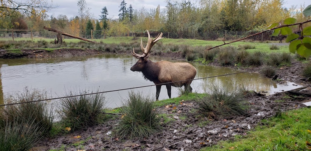 Greater Vancouver Zoo | 5048 264 St, Aldergrove, BC V4W 1N7, Canada | Phone: (604) 856-6825