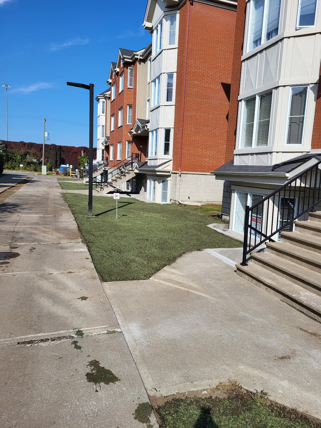 Hydrosemence Ecogazon | 531 Rue des Cèdres, Sainte-Anne-des-Plaines, QC J0N 1H0, Canada | Phone: (514) 973-1706