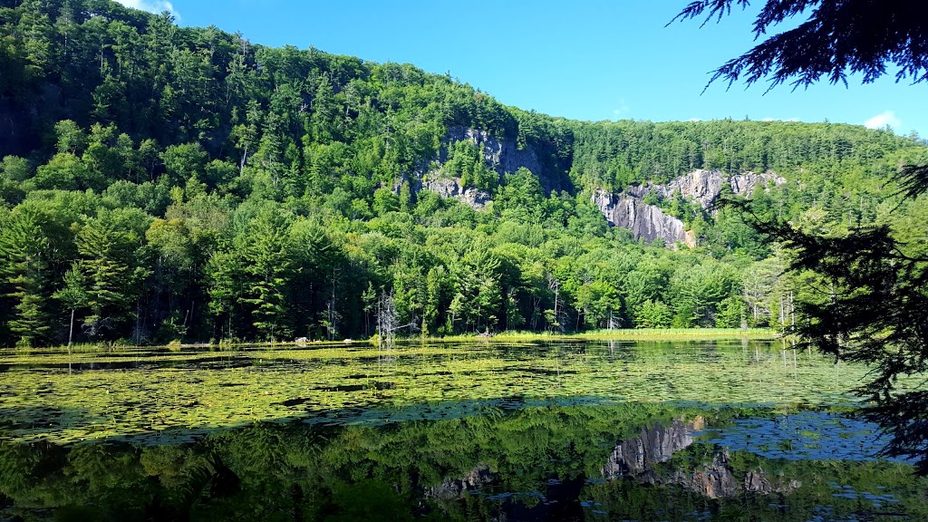 Alfred Kelly Nature Reserve | 1272 Rue de la Traverse, Prévost, QC J0R 1T0, Canada