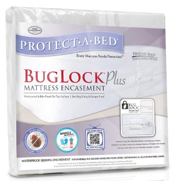 A1 Bed Bug Exterminator Scarborough | 238 Bonis Ave, Scarborough, ON M1T 3W7, Canada | Phone: (647) 492-1864
