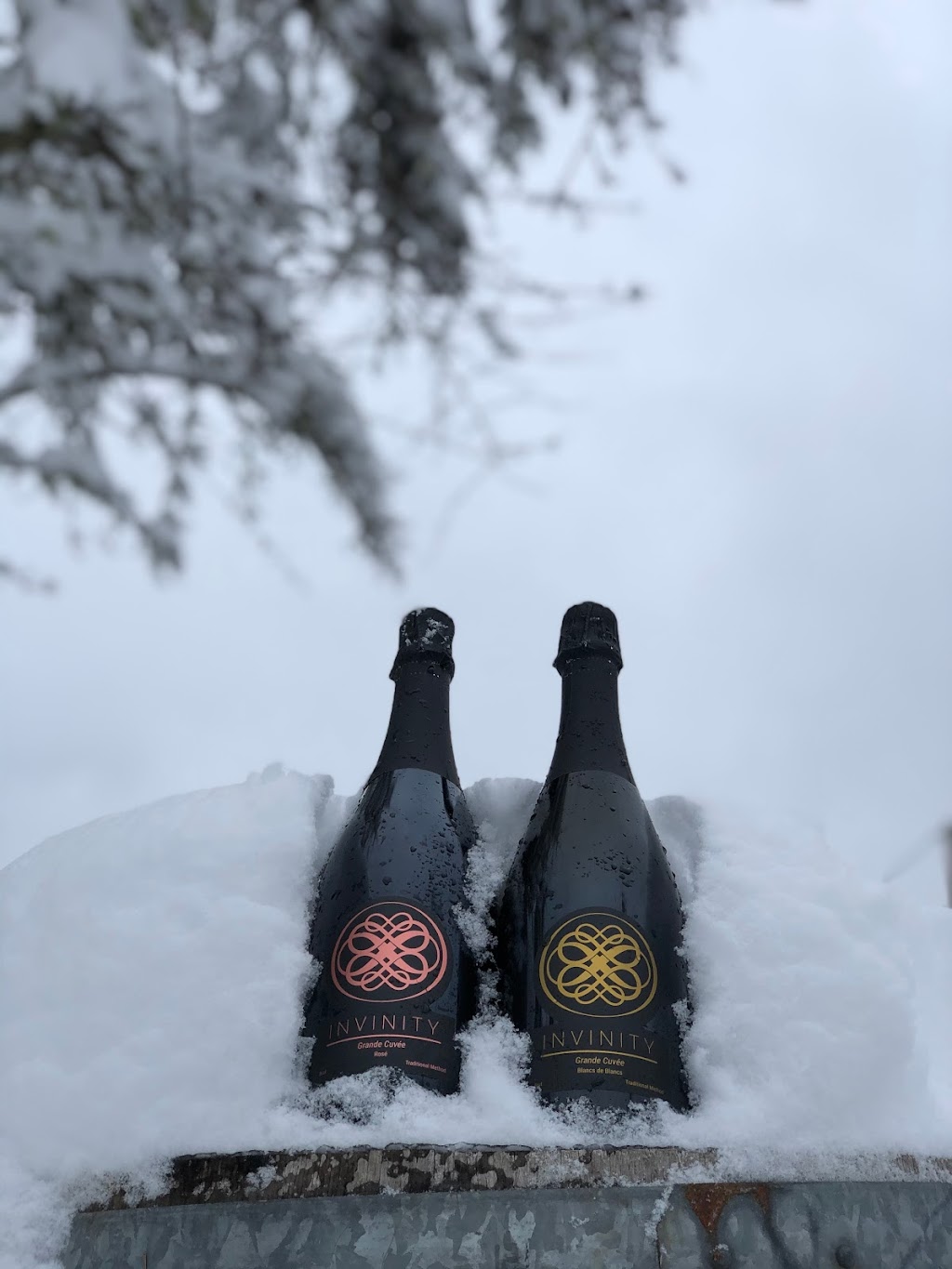 Invinity Sparkling Wine House | 10755 Madrona Dr, North Saanich, BC V8L 5M7, Canada | Phone: (250) 532-0123