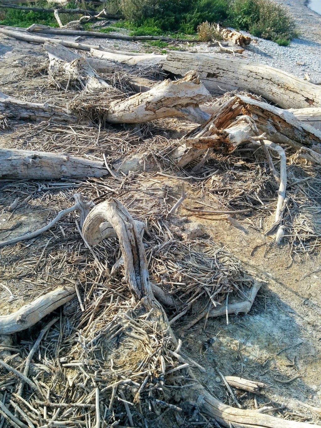 "East" Brothers Islands | Odessa, ON K0H 2H0, Canada