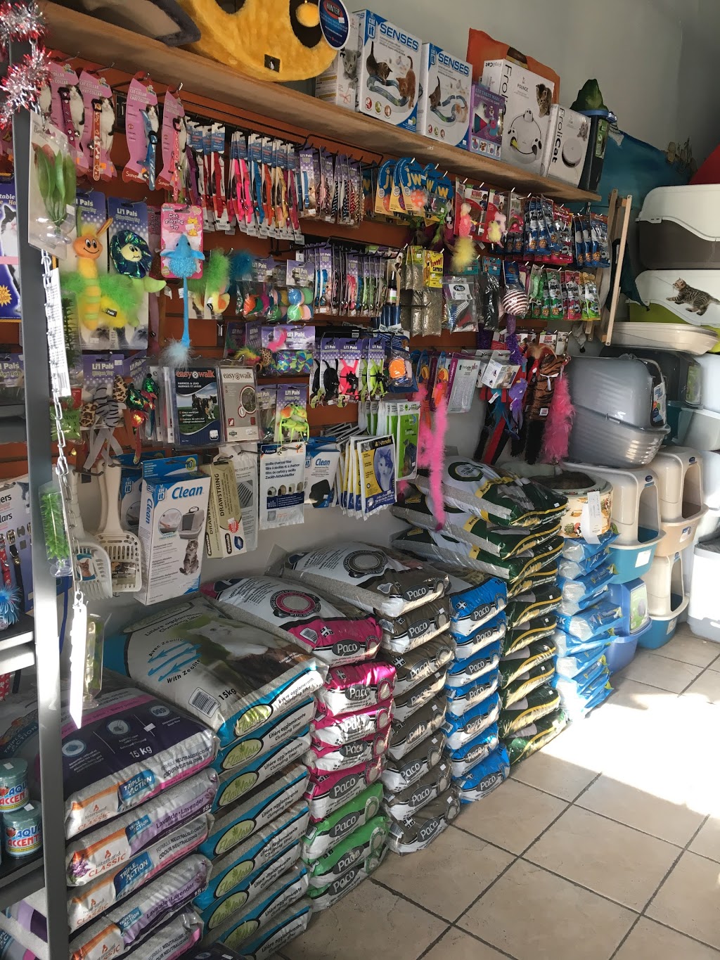Animalissimo inc. | 5434 Boulevard Cousineau, Saint-Hubert, QC J3Y 7J8, Canada | Phone: (450) 812-9585