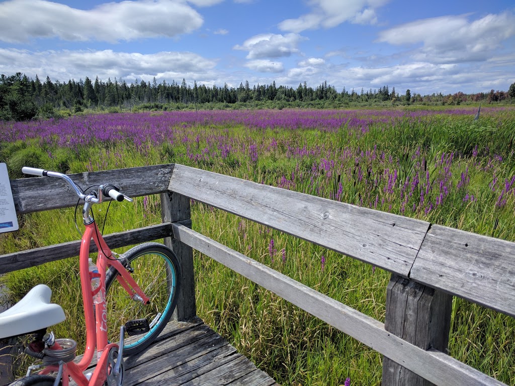 Observation Deck | Trans Canada Trail, Ottawa, ON, Canada