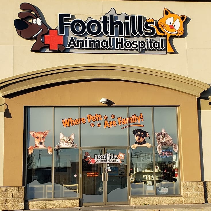 Foothills Animal Hospital | 34 Southridge Dr #6, Okotoks, AB T1S 2G5, Canada | Phone: (403) 938-3791