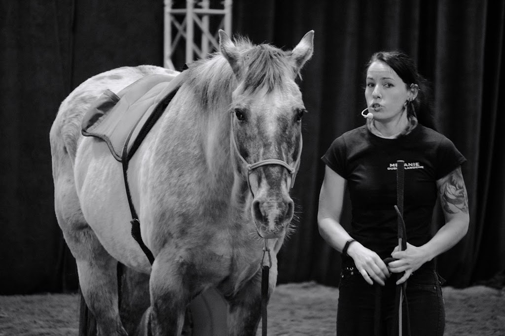 Kala, Services Canins et Équins - Éducation et Dressage - Mirabe | de, Rue De Courcelles, Mirabel, QC J7J 0B3, Canada | Phone: (450) 803-5078
