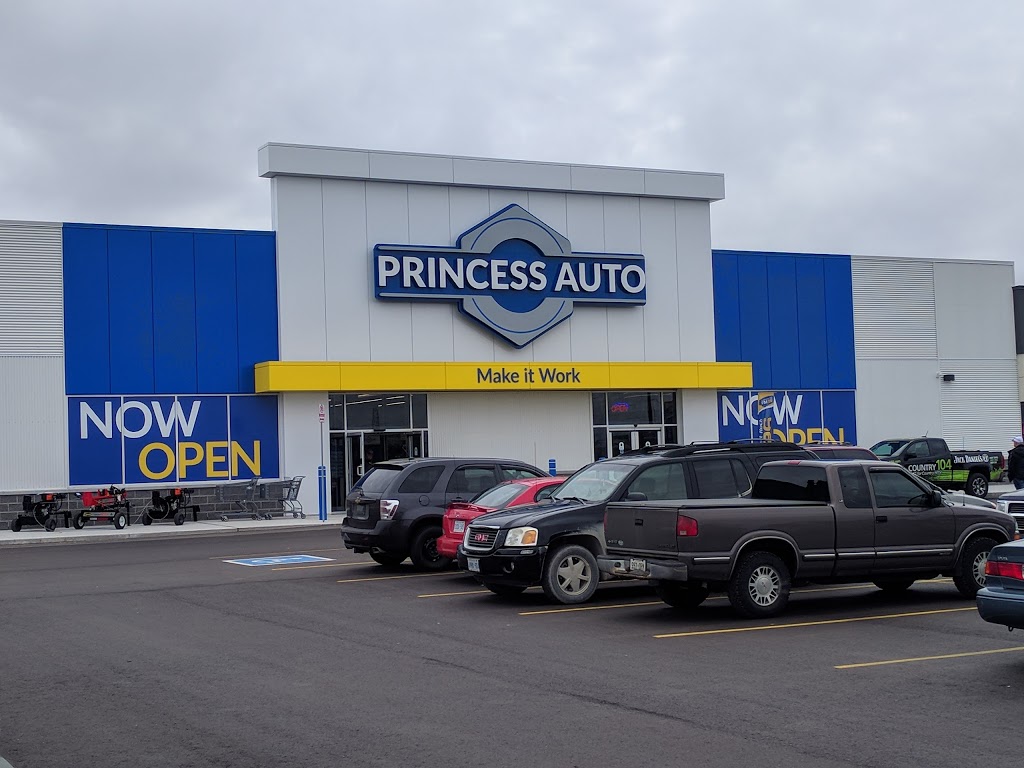 Princess Auto | 4380 Wellington Rd S, London, ON N6E 2Z6, Canada | Phone: (519) 649-7001