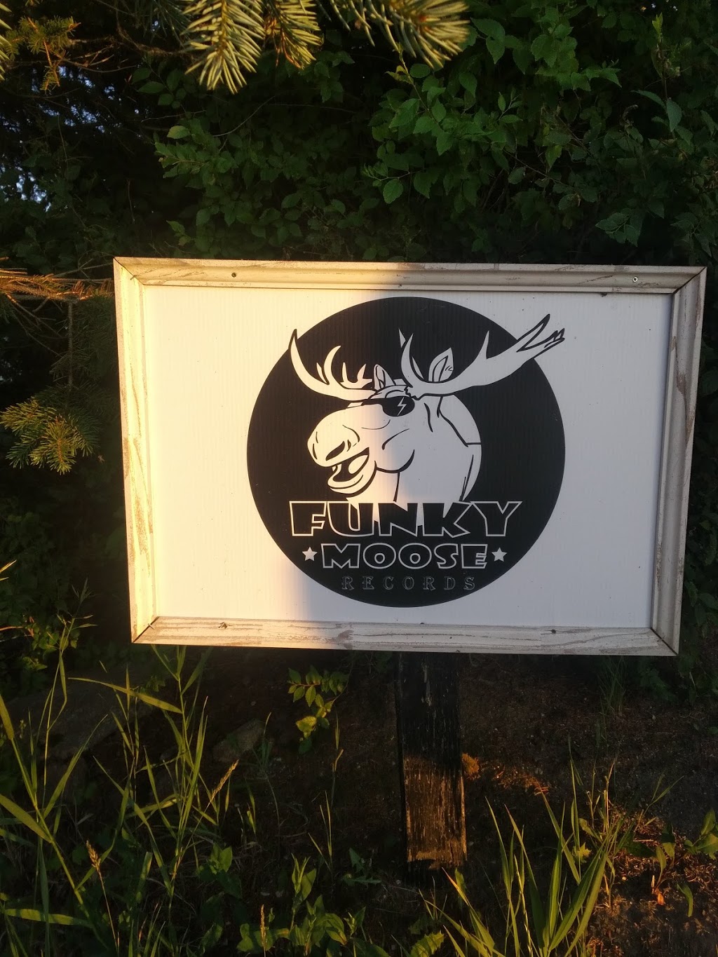 Funky Moose Records | 316 Main Street (Box 158), Bellevue, SK S0K 3Y0, Canada | Phone: (855) 223-3301