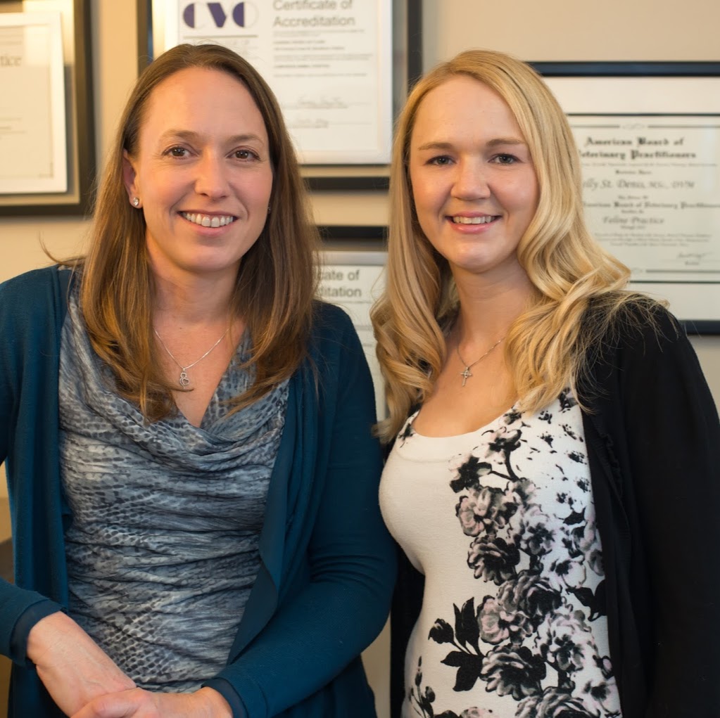 Charing Cross Cat Clinic | 138 Charing Cross St, Brantford, ON N3R 2J1, Canada | Phone: (519) 770-4228