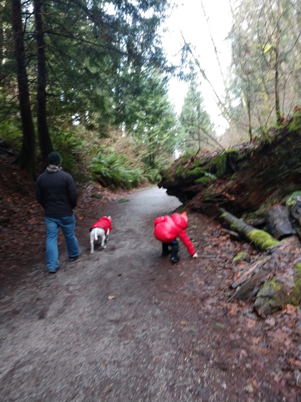 North Lake Whatcom Trail | Bellingham, WA 98226, USA | Phone: (360) 778-5850