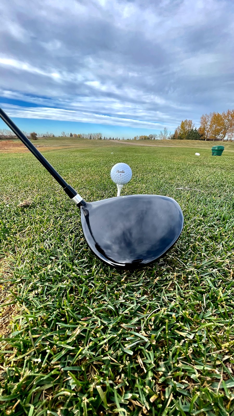 Acme Golf Club | 14005 Redfield Drive, Acme, AB T0M 0A0, Canada | Phone: (403) 546-4020