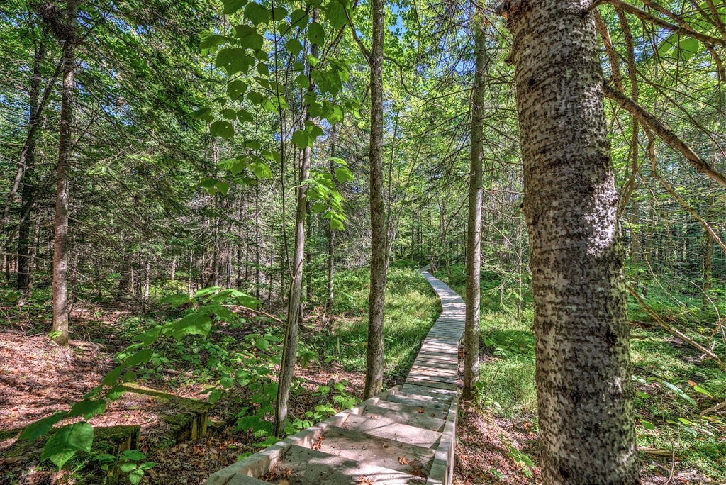 23 chemin Rive Gauche | 2177 QC-125, Saint-Donat-de-Montcalm, QC J0T 2C0, Canada | Phone: (514) 659-2045