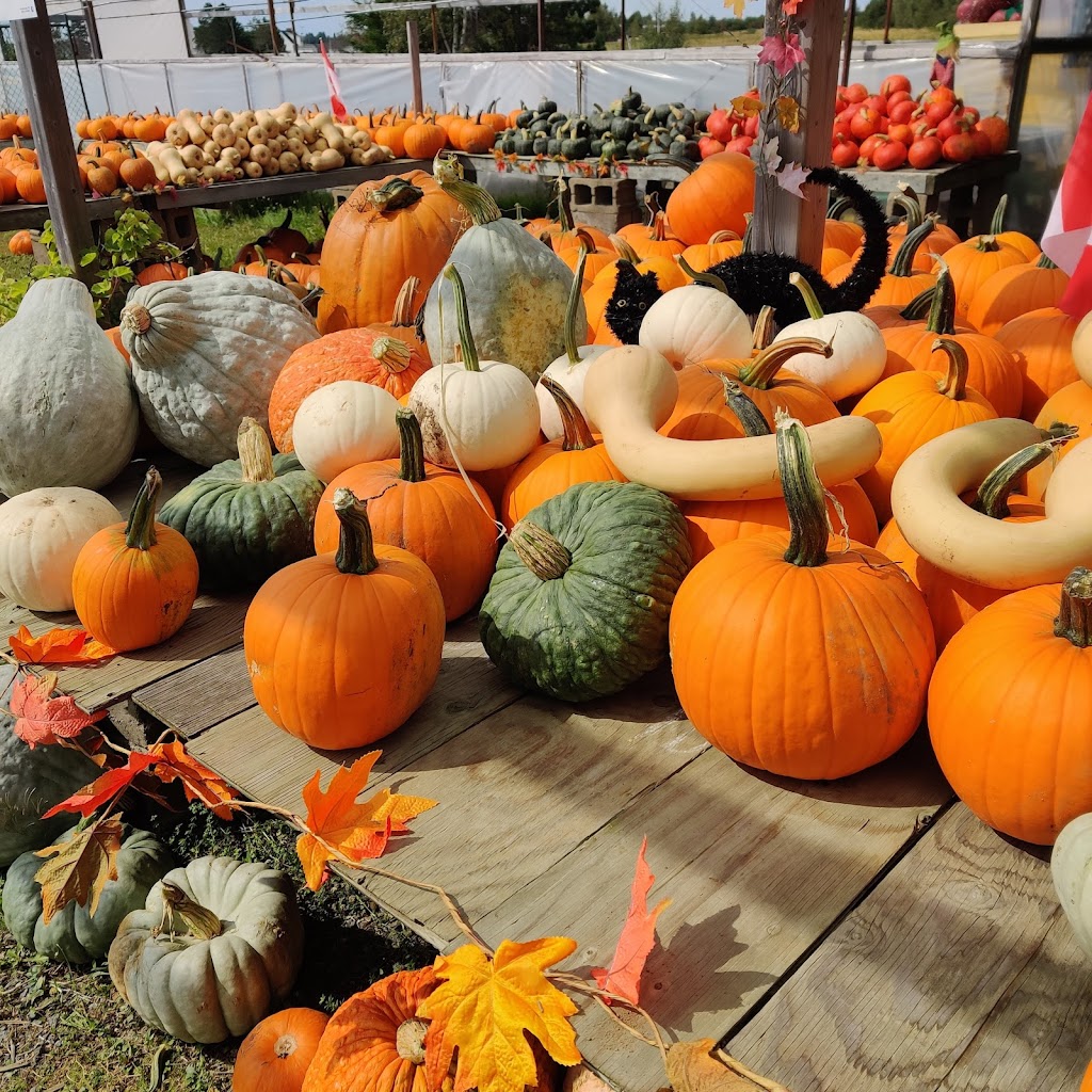 La Ferme Michaud Ltée. / Michaud Farm Ltd. | 739, NB-475, Baie de Bouctouche, NB E4S 4N9, Canada | Phone: (506) 743-6947