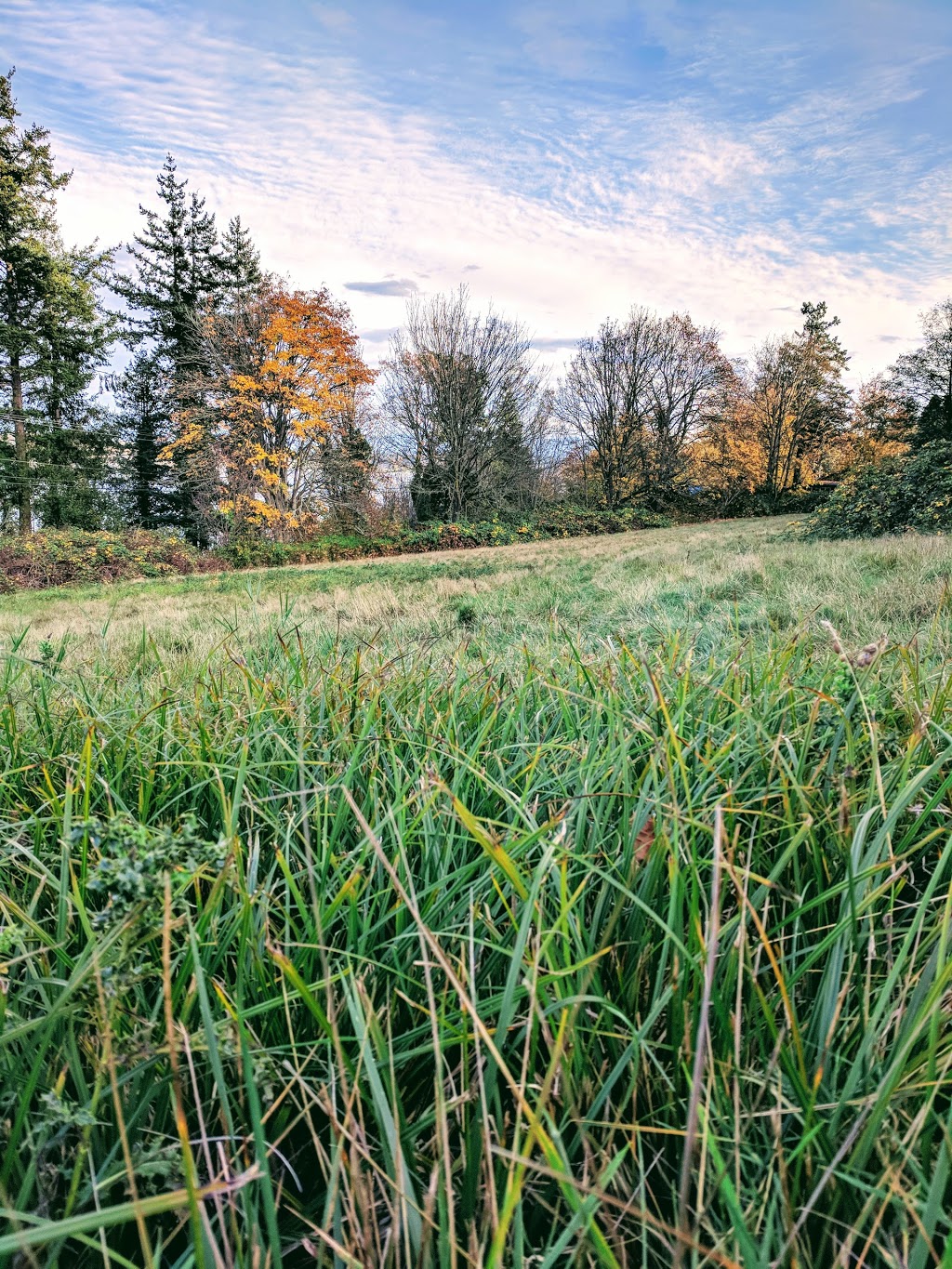 Curry Preserve | 2449 N Nugent Rd, Lummi Island, WA 98262, USA