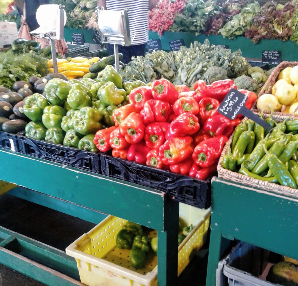 Joes Gardens | 3110 Taylor Ave, Bellingham, WA 98225, USA | Phone: (360) 671-7639