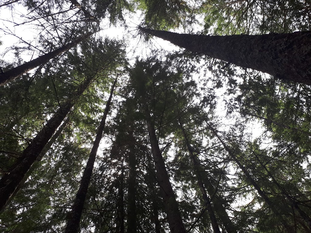 Crooked Falls | Squamish-Lillooet D, BC V0N, Canada