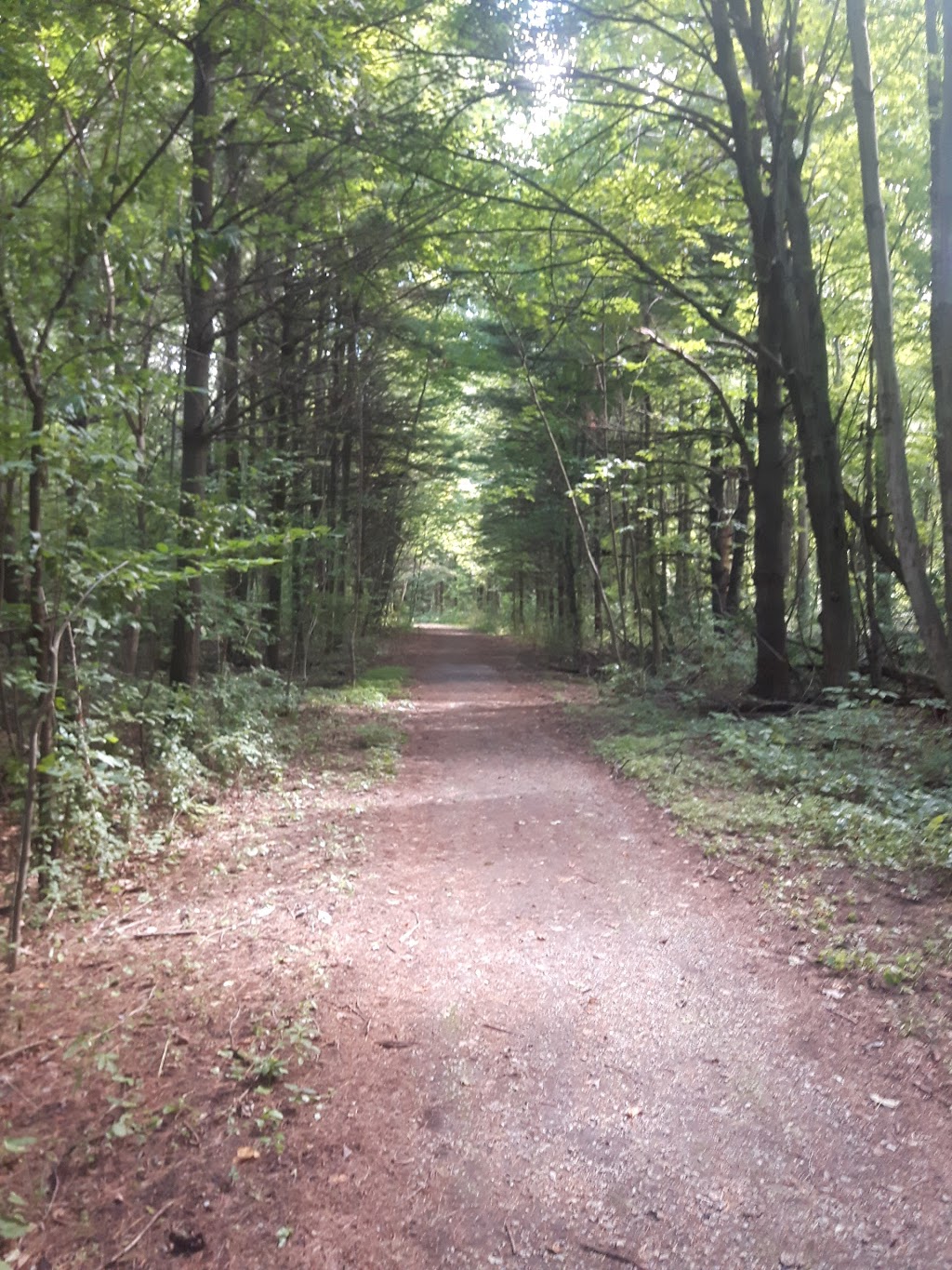 Hay Creek Conservation Area | 241 Port Ryerse Rd, Simcoe, ON N3Y 4K2, Canada