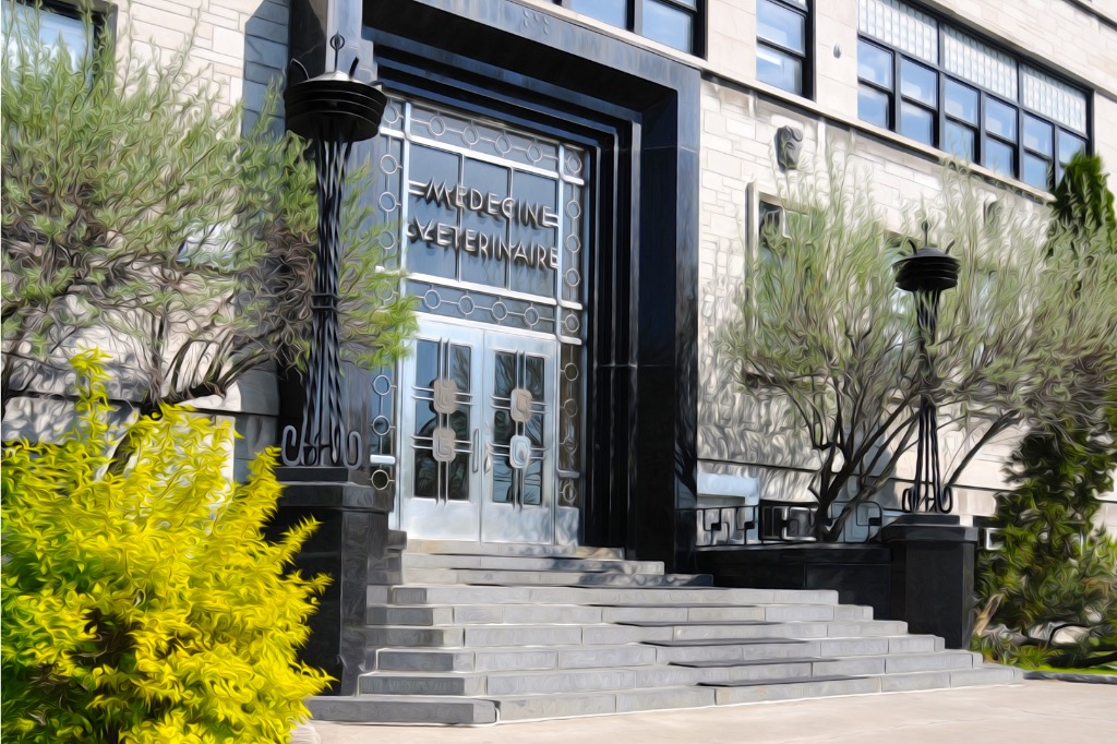 Université de Montréal Saint-Hyacinthe Campus | 3200 Rue Sicotte, Saint-Hyacinthe, QC J2S 2M2, Canada | Phone: (450) 773-8521