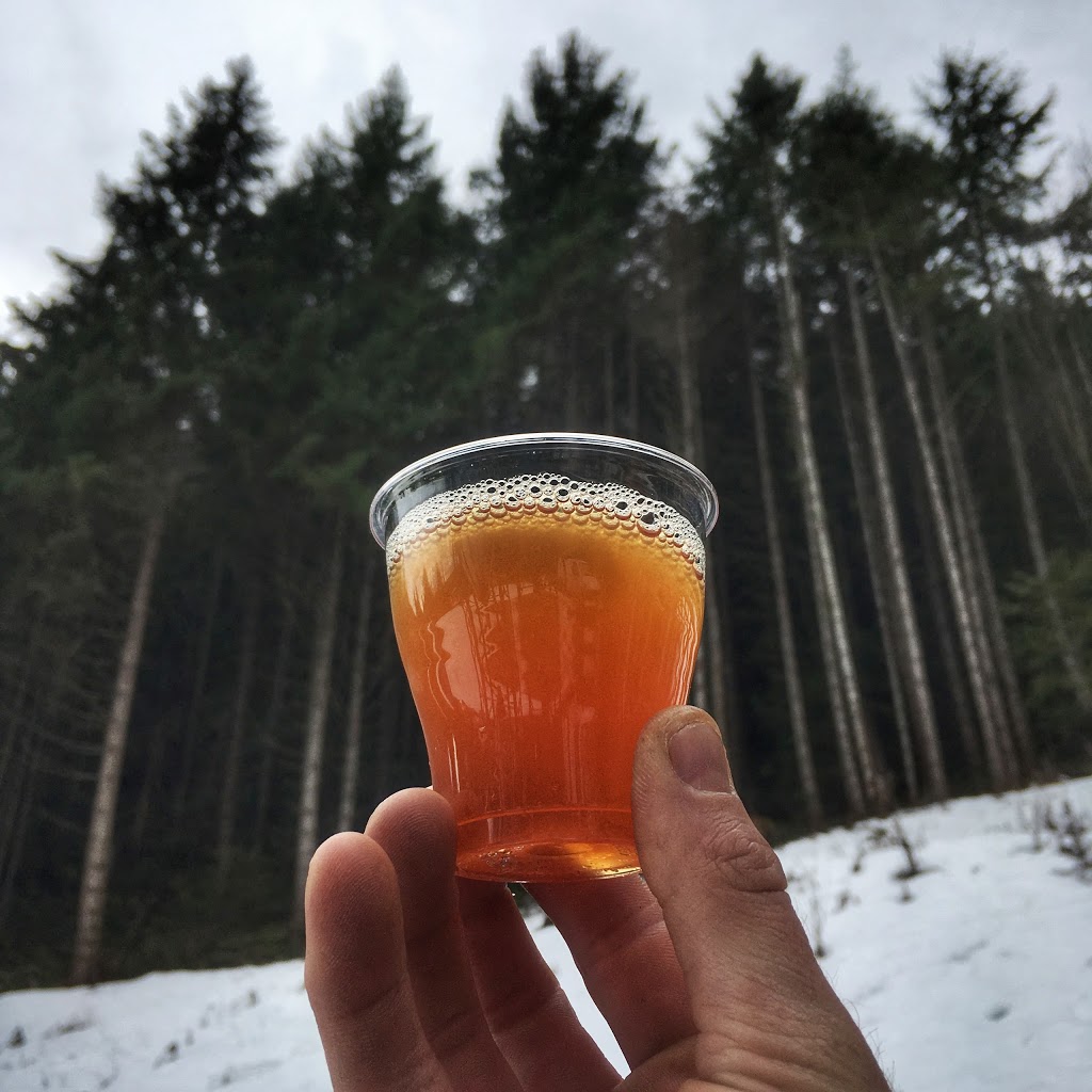 Salt Spring Island Ales | 270 Furness Rd, Salt Spring Island, BC V8K 1Z7, Canada | Phone: (778) 354-1121