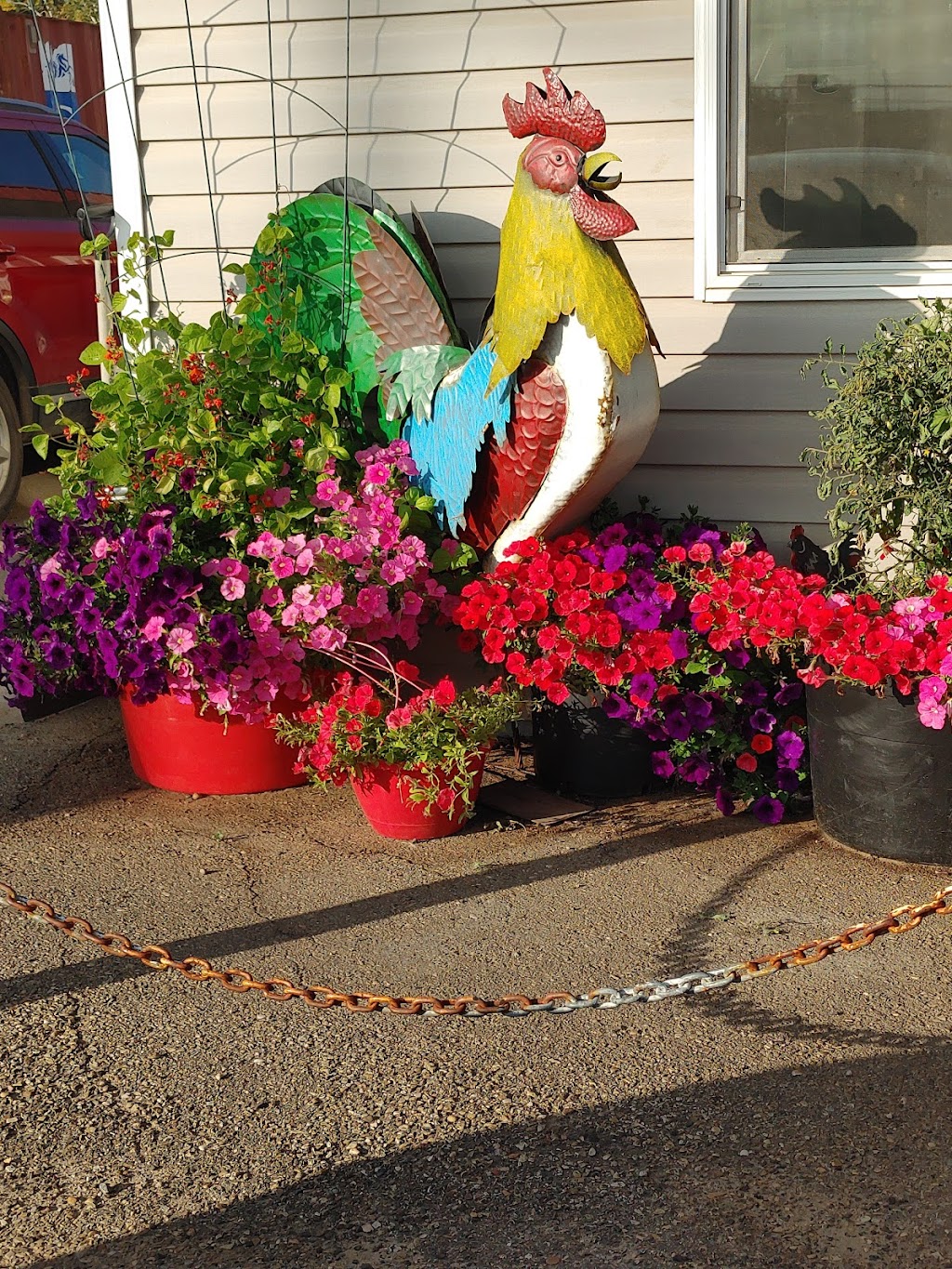 Viking Burger Queen | 5036 51 Ave, Viking, AB T0B 4N0, Canada | Phone: (780) 336-4740