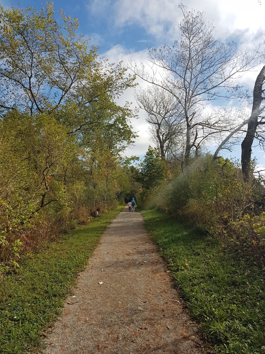 Morrison Dam Conservation Area | RR 3, 71108 Morrison Line, Exeter, ON N0M 1S5, Canada | Phone: (519) 235-2610