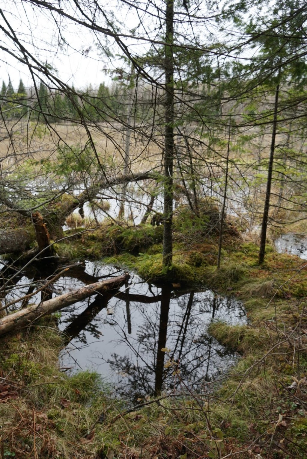 Parc Le Renouveau Rosaire-Sénécal | Chemin des Marronniers, Nominingue, QC J0W 1R0, Canada | Phone: (819) 278-3384 ext. 246