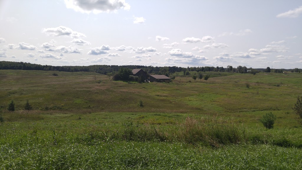 7th Line Parking Lot | 953151 7 Line E, Orangeville, ON L9W 2Z2, Canada