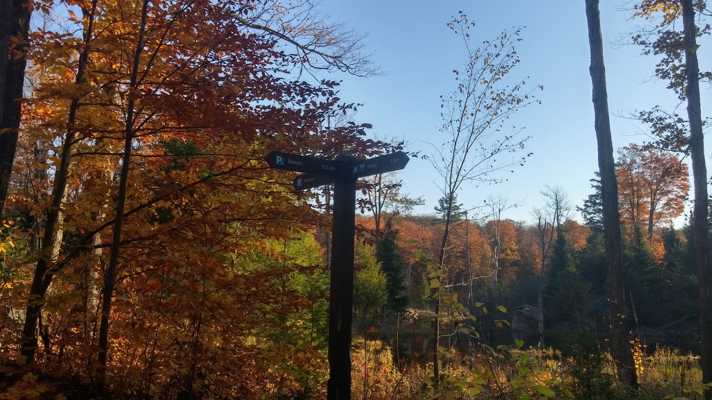 Huron Trail | Chelsea, QC J9B 1H9, Canada