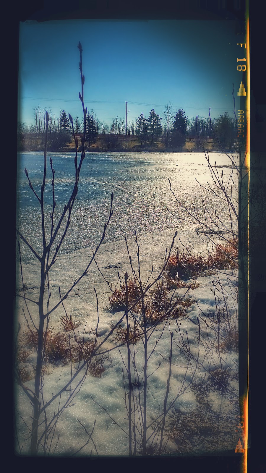 Christopher Cruz Park | 1305 Potter Greens Dr NW, Edmonton, AB T5T 6A3, Canada