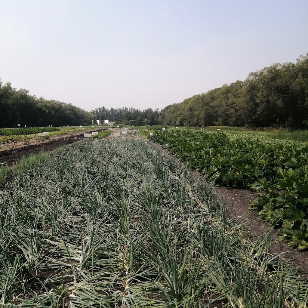 Floodway Gardens | 567 Shalom Path, Narol, MB R1C 0C3, Canada | Phone: (204) 661-9162