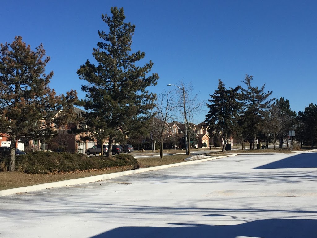 St. Francis Xavier Catholic School 53 Gracefield Ave, North York, ON