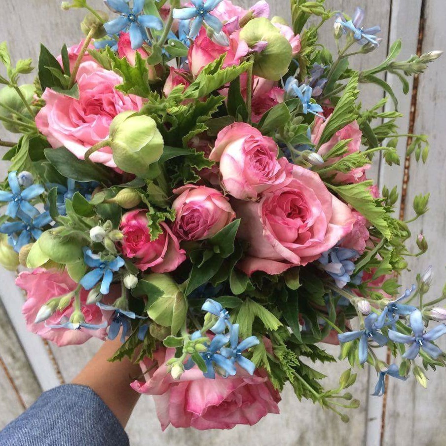 Victoria Food & Florist | 451 Cook St, Victoria, BC V8V 3Y2, Canada | Phone: (250) 384-2824