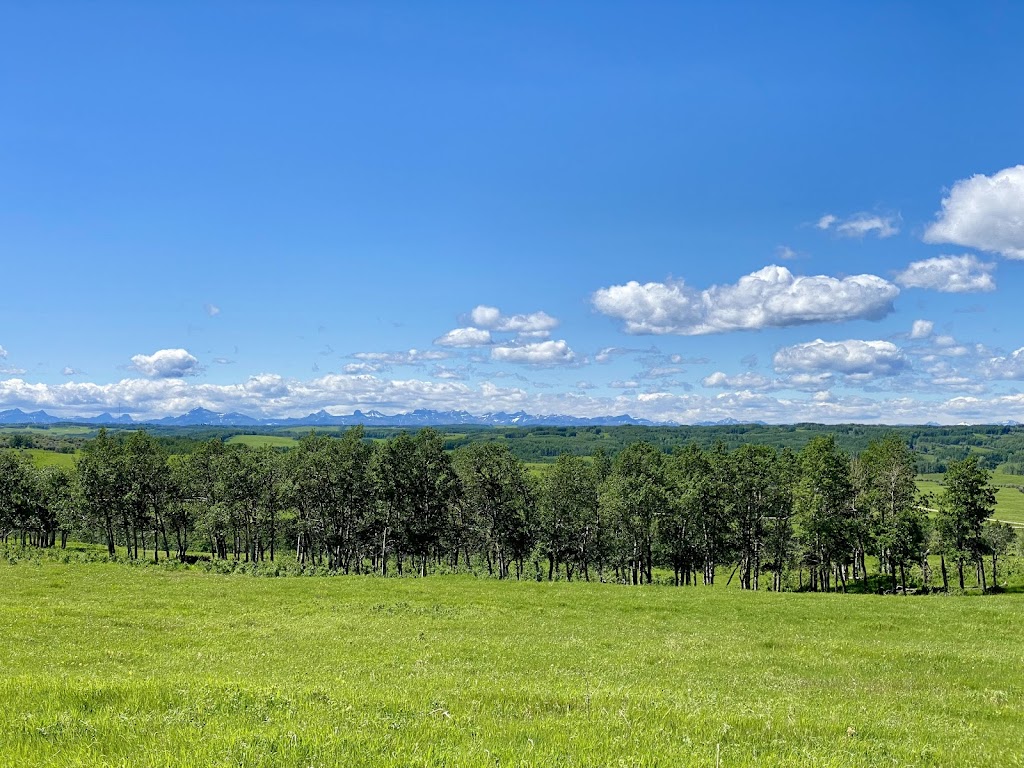 JK Fraser Cattle | 274129 Range Road 33, AB T4C 2Y2, Canada | Phone: (403) 932-2406
