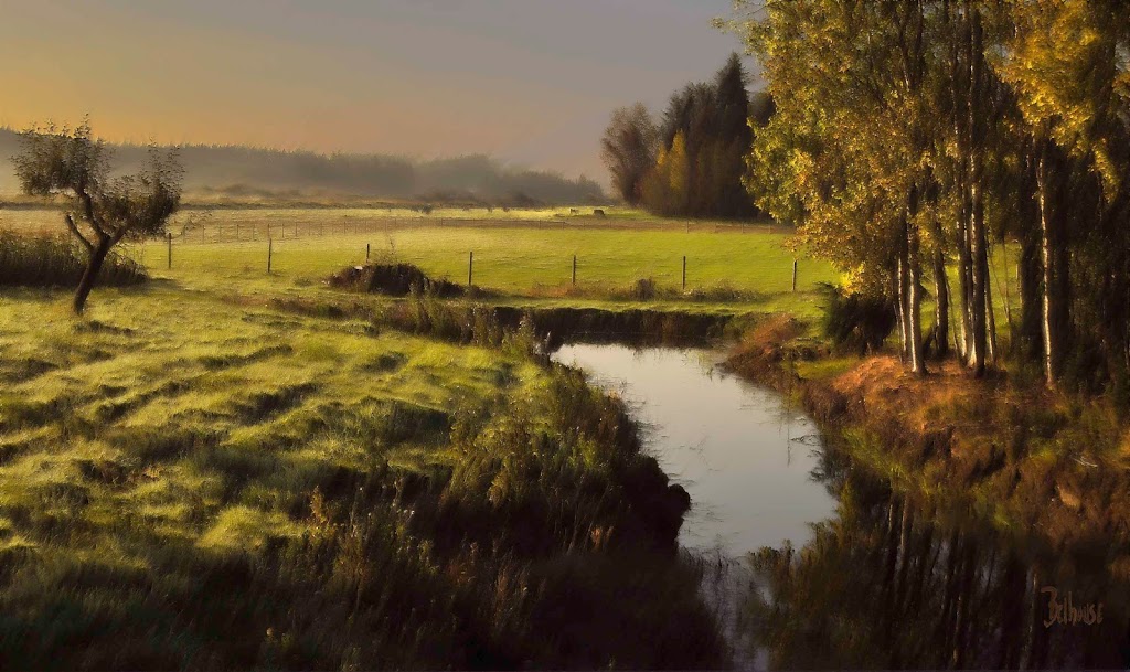 Belhouse Gallery | 13536 Barney Rd, Ladysmith, BC V9G 1E9, Canada | Phone: (250) 245-5383