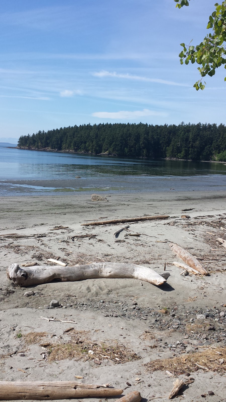 Shaw County Park | Indian Cove Rd, Lopez Island, WA 98261, USA | Phone: (360) 468-4673