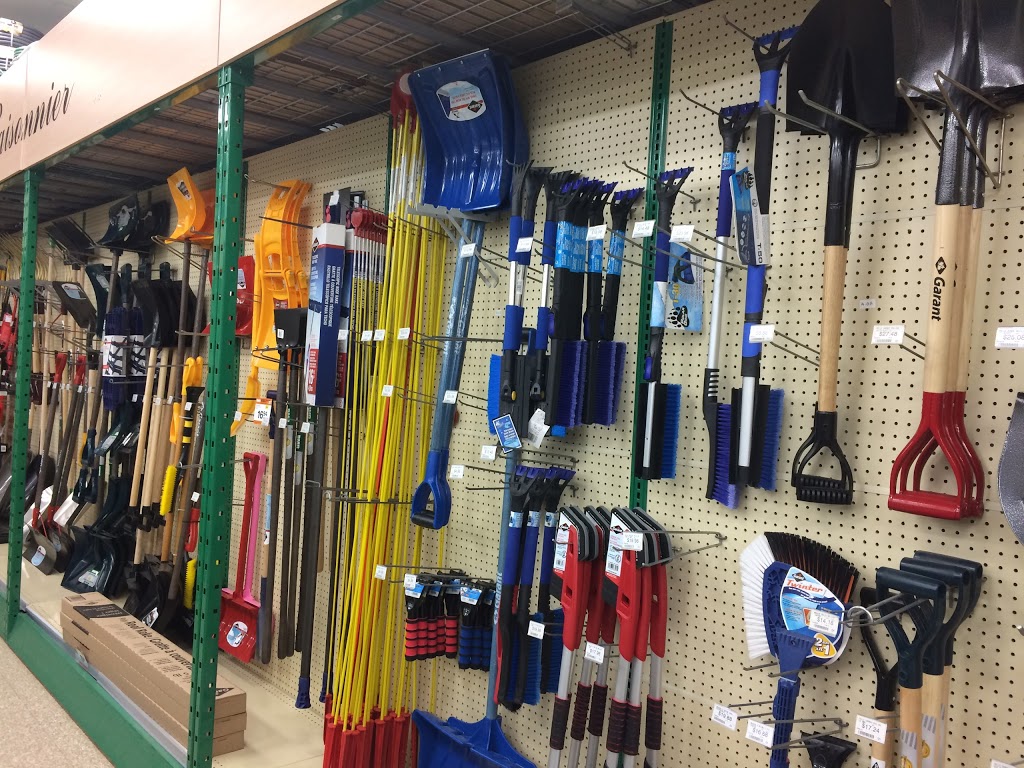 BMR Maurice Houle & Fils | 70 Rue Commerciale, Saint-Boniface, QC G0X 2L0, Canada | Phone: (819) 535-3812